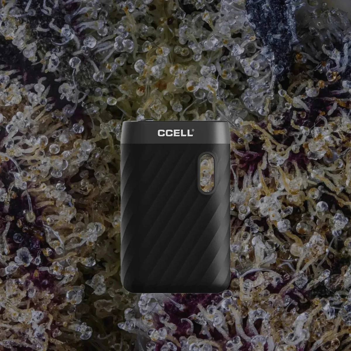 CCELL Sandwave, cart batteries from Trichly