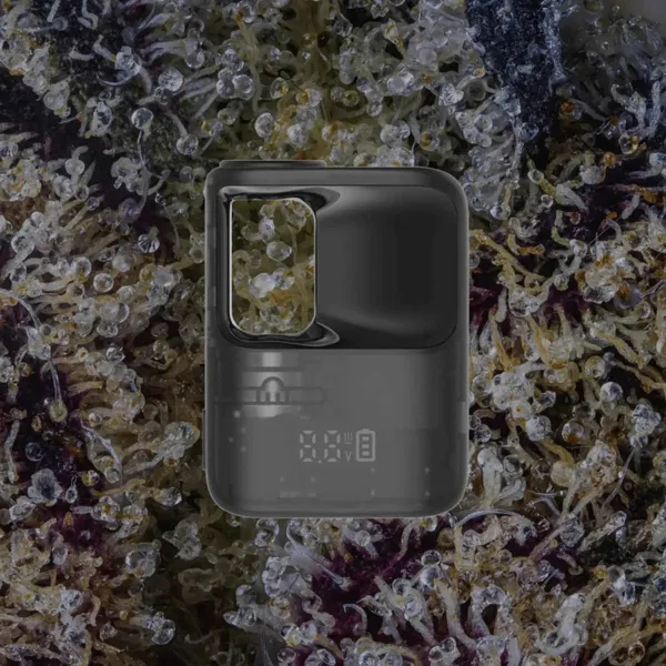 CCELL Stylo, cart batteries from Trichly photo 1