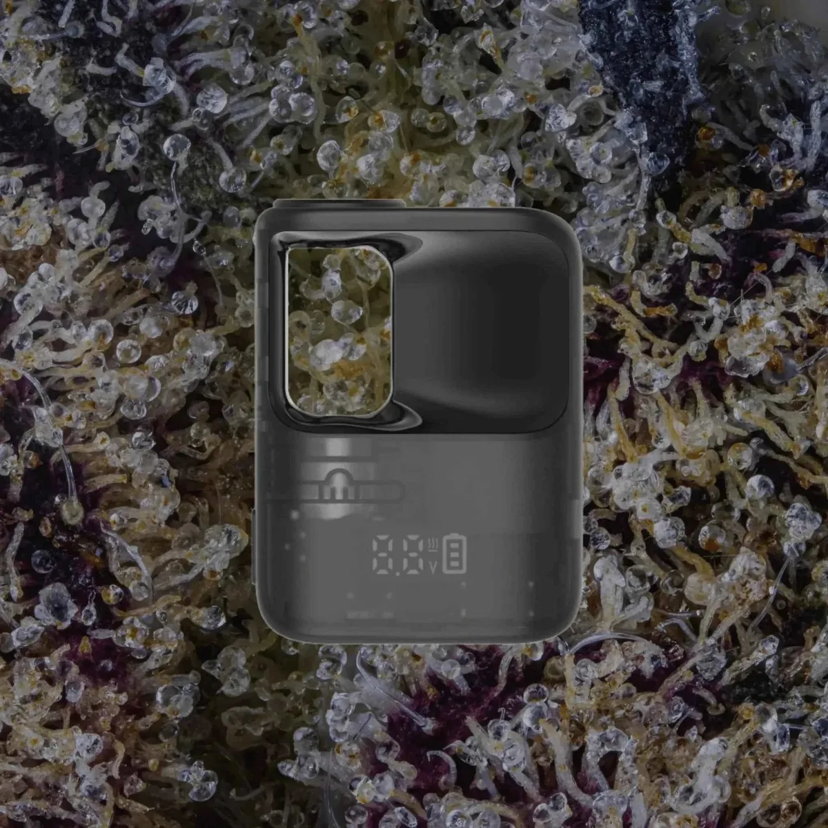 CCELL Stylo — cart batteries from Trichly