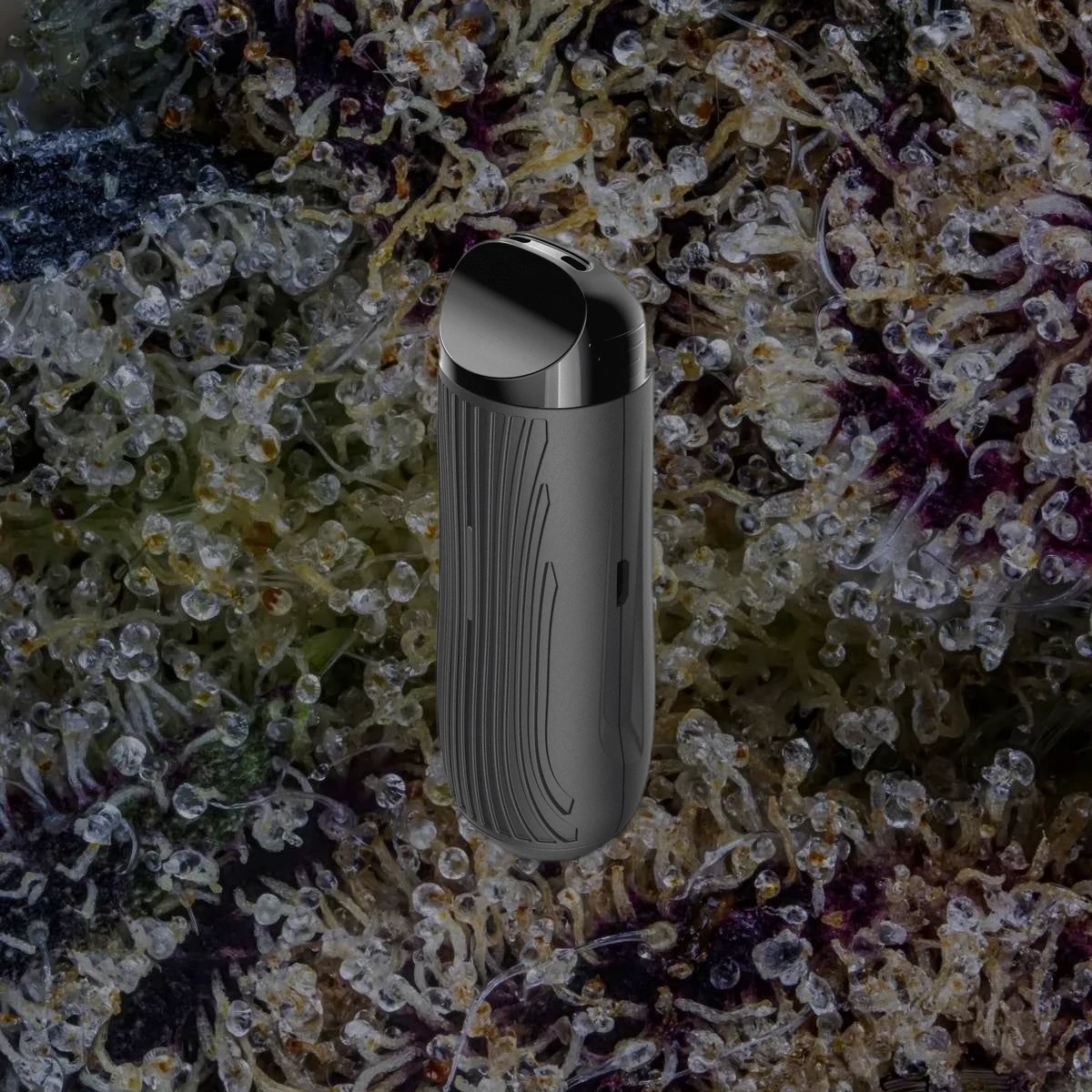 CFC Lite product photo