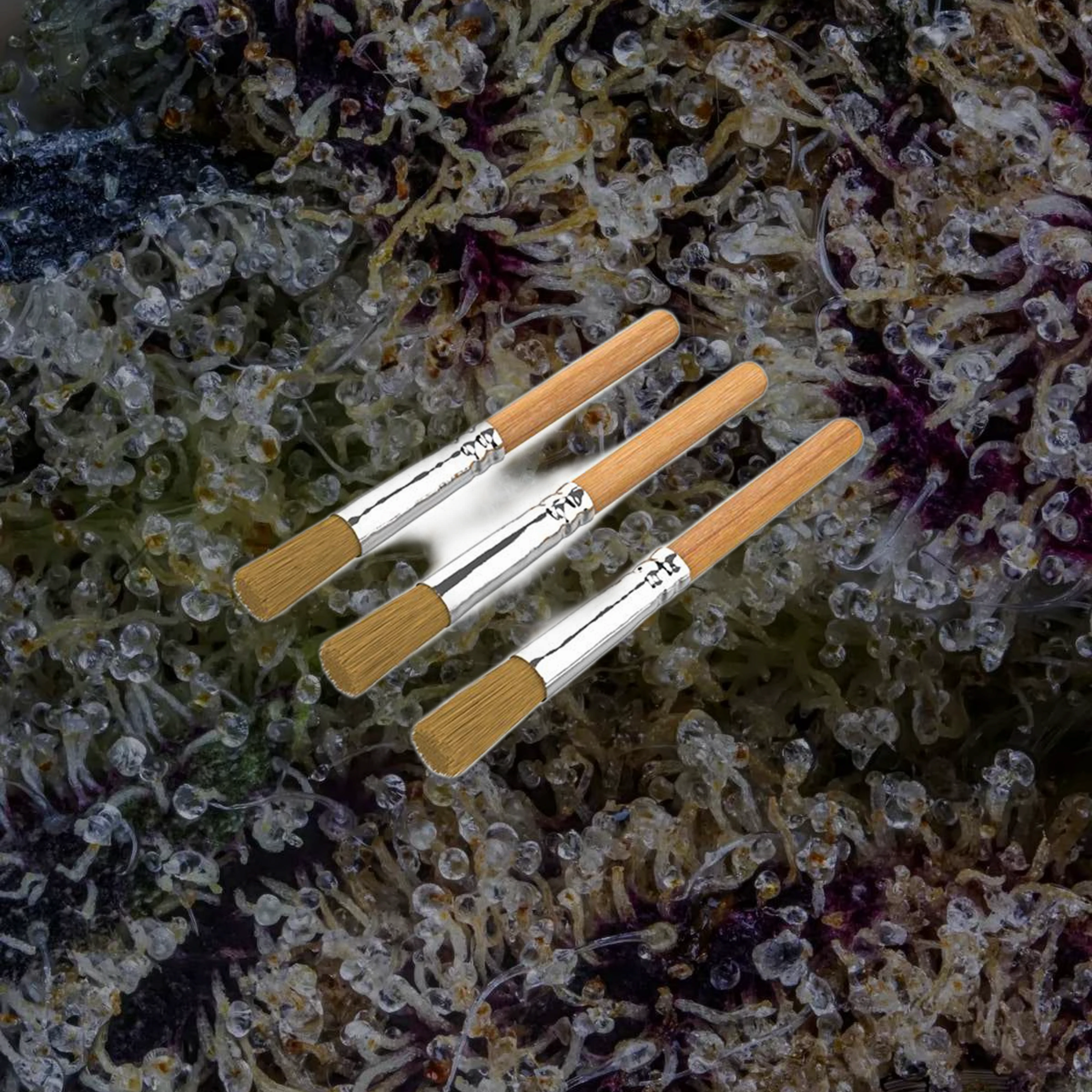 Storz and Bickel Cleaning Brushes 3-Pack Set