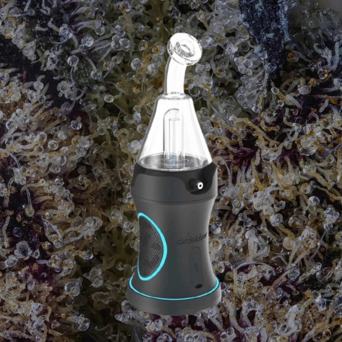 Dr. Dabber Boost Evo