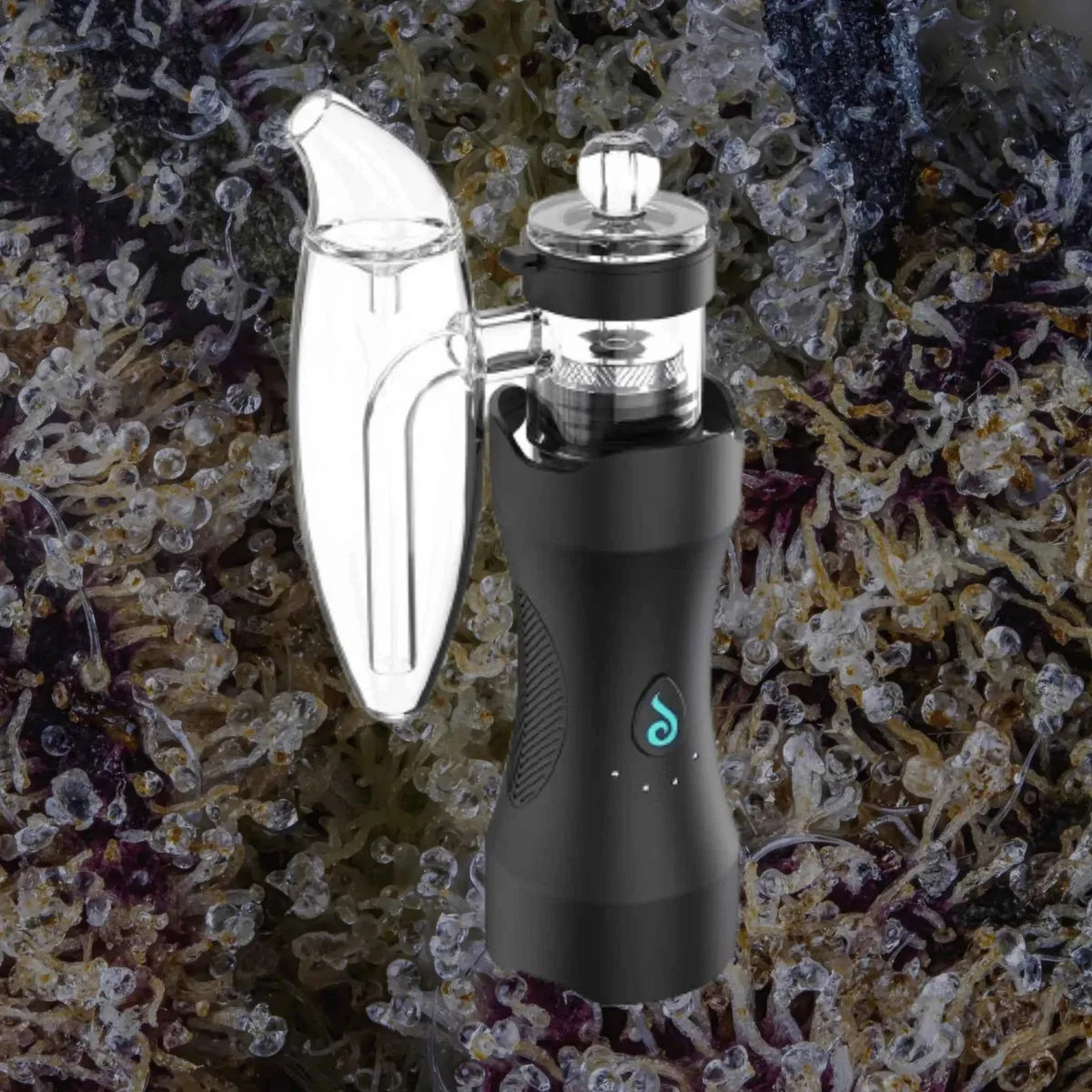 Dr. Dabber XS, for extracts from Trichly