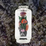 Empire Glassworks Save the Seas Peak Top, glass from Trichly photo 1