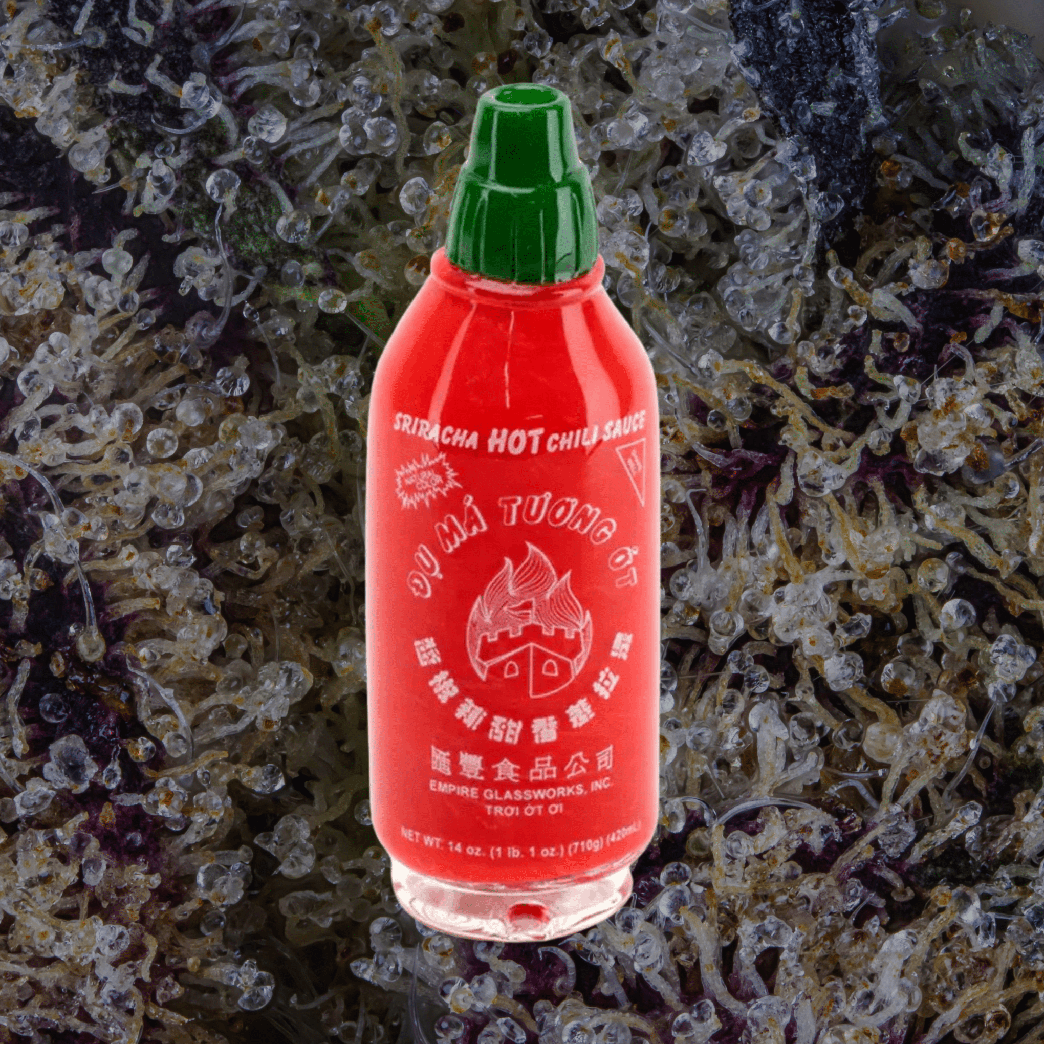 Empire Glassworks Sriracha Peak Top — glass from Trichly