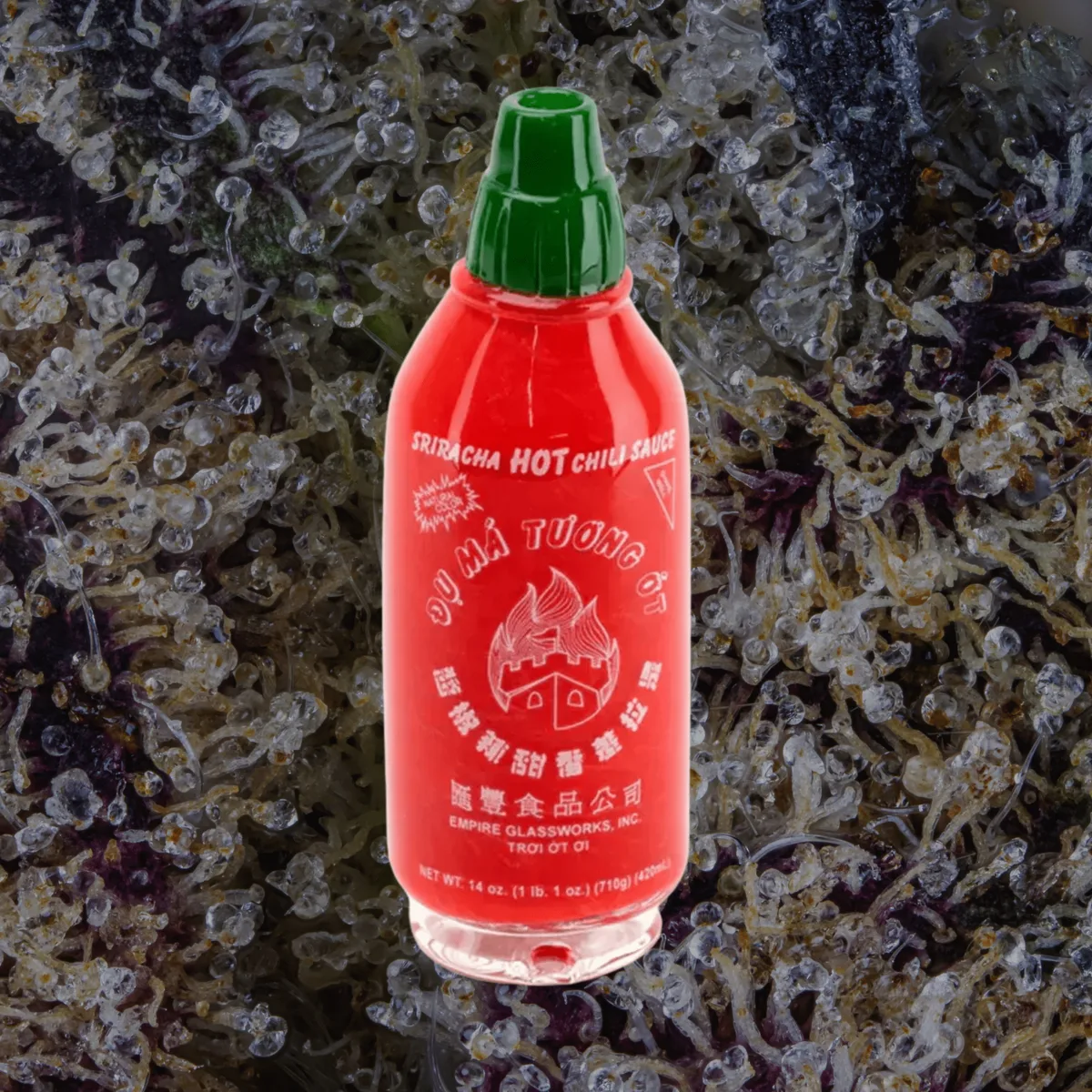 Empire Glassworks Sriracha Peak Top — glass from Trichly