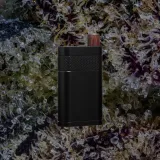Everyday Canna Co. Ranger 510 battery in black photo 2