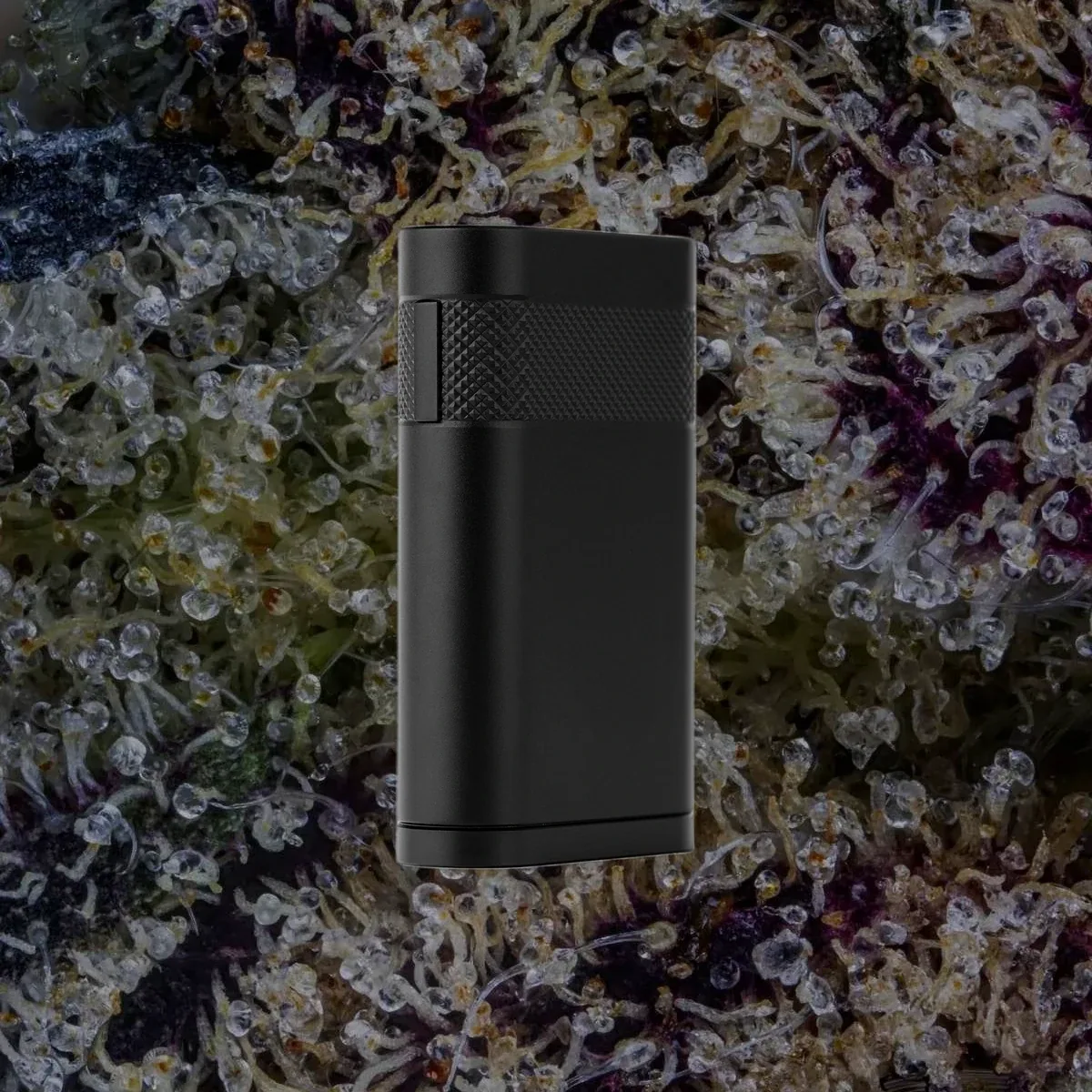 Everyday Canna Co. Ranger 510 battery in black