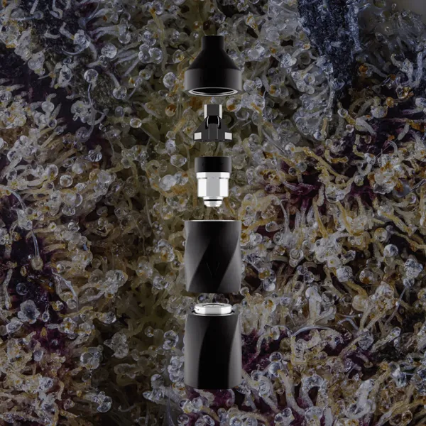 Focus V Aeris, for extracts from Trichly photo 2
