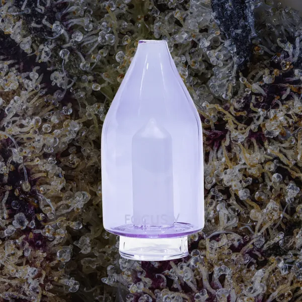 Focus V Carta Glass Attachments, glass from Trichly photo 3