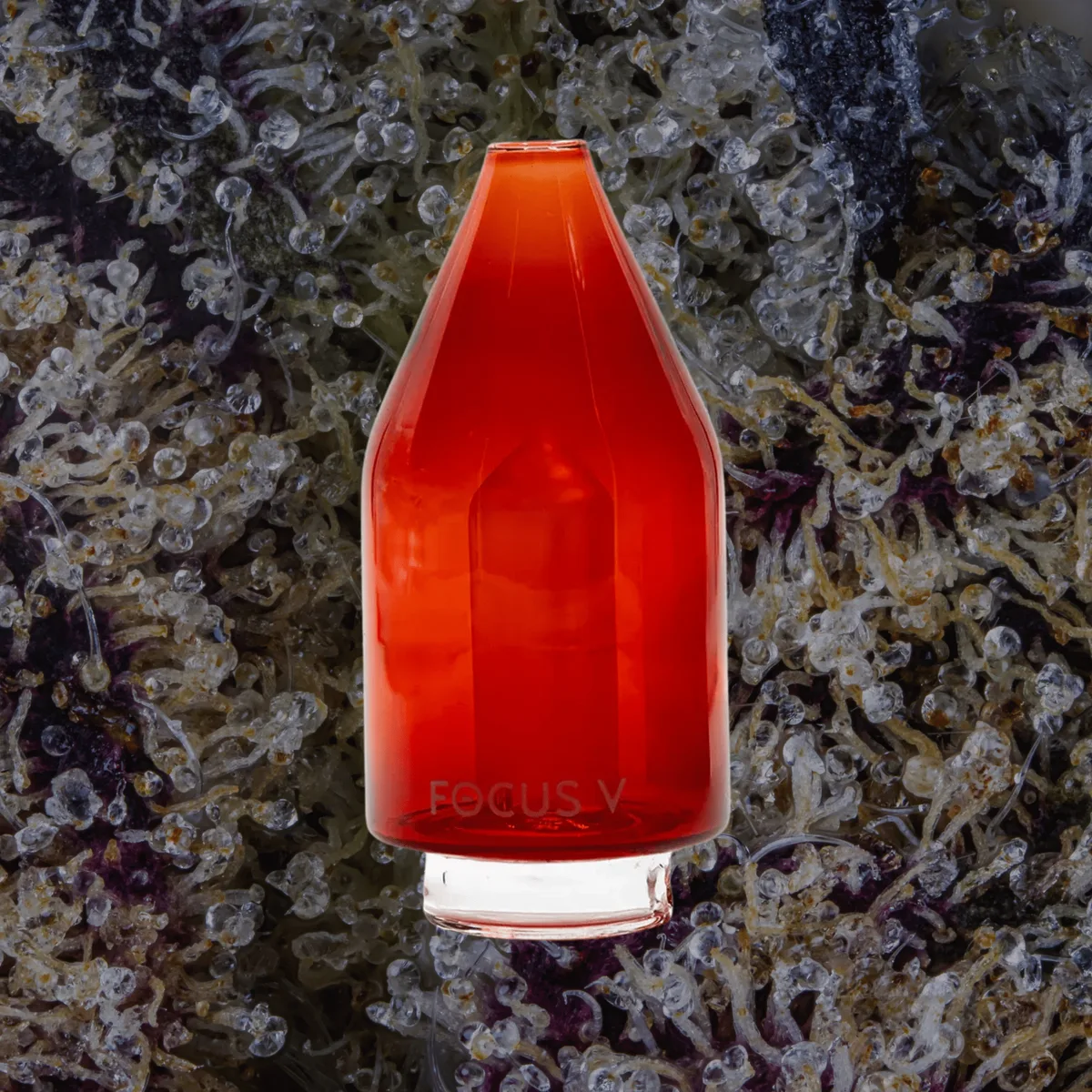 Focus V Carta Glass Attachments — glass from Trichly