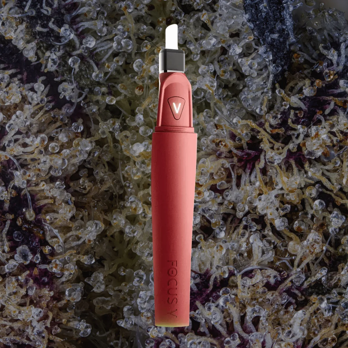 Focus V Saber Hot Knife — hot knives & tools from Trichly