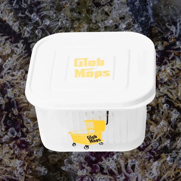 Glob Mop Buckets photo 1
