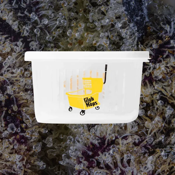 Glob Mop Buckets photo 2