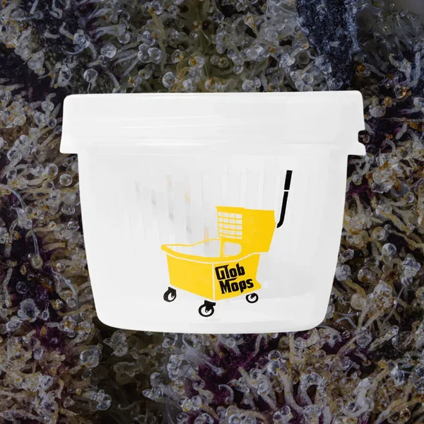 Glob Mop Buckets photo 5