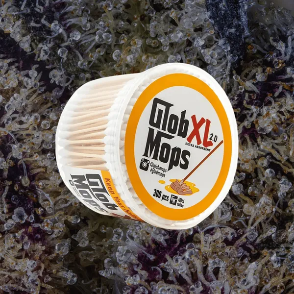 Glob Mops XL 2.0, cleaning from Trichly photo 1