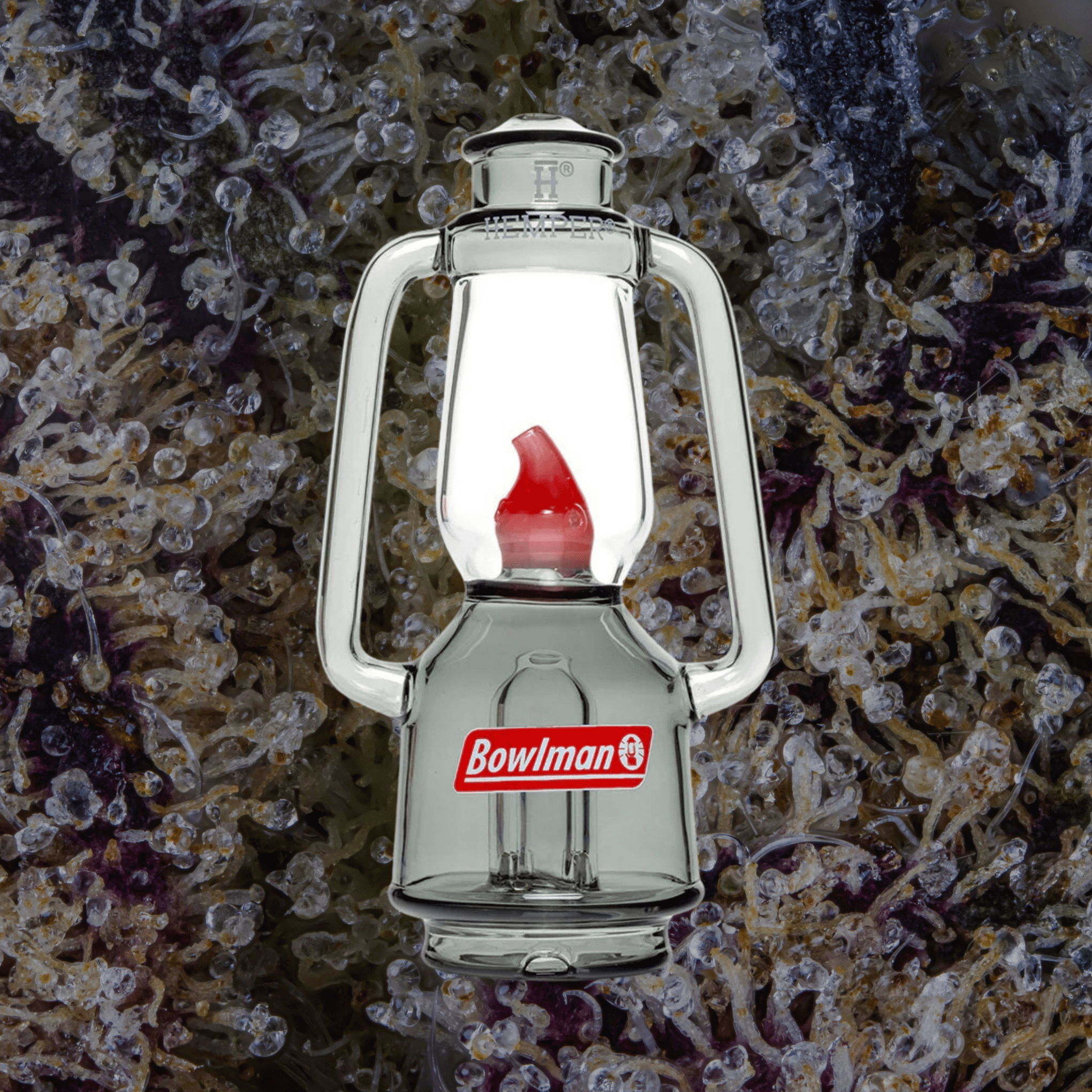 HEMPER Bowlman Lantern Puffco Peak Top — glass from Trichly