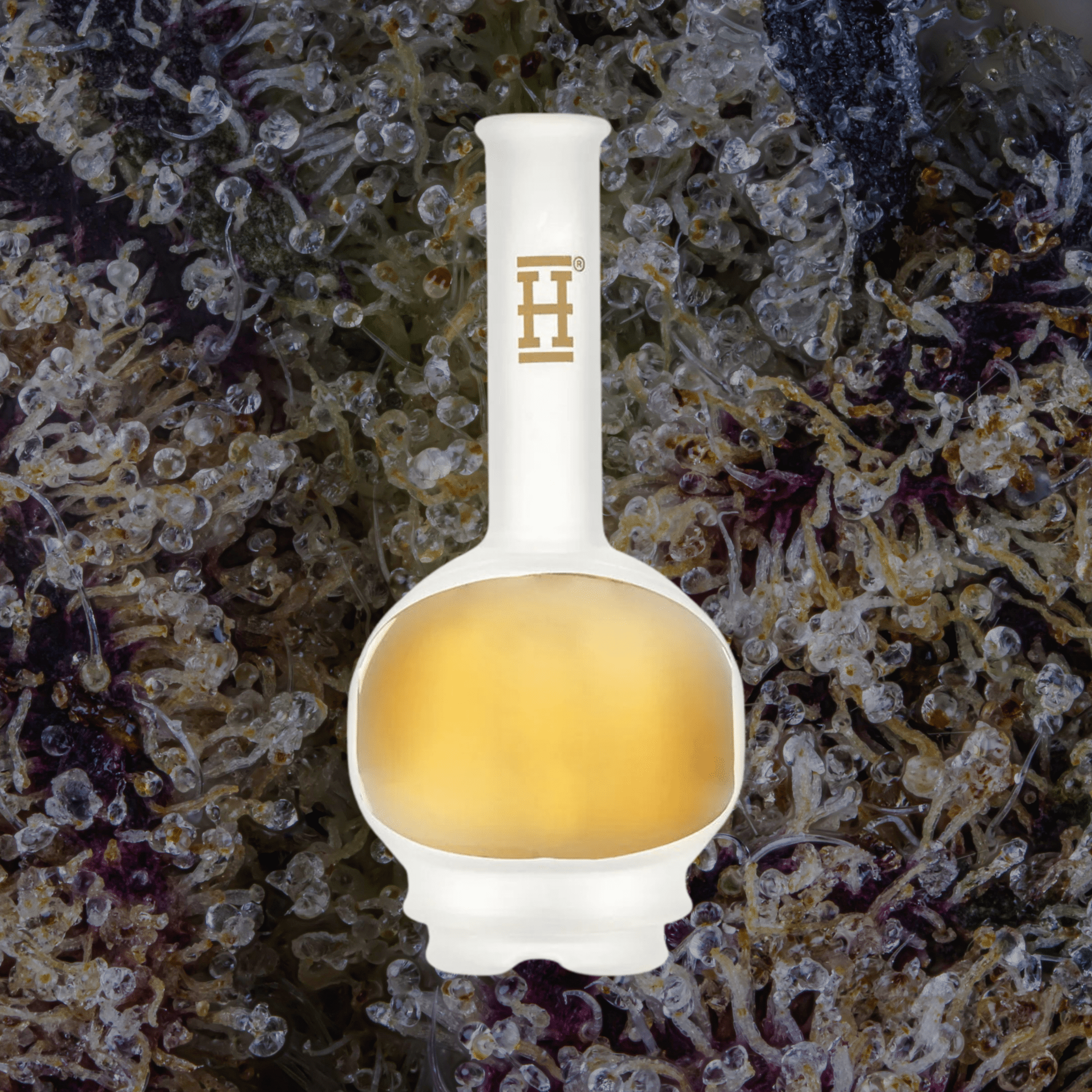 HEMPER Space Fleet Puffco Peak Top — glass from Trichly
