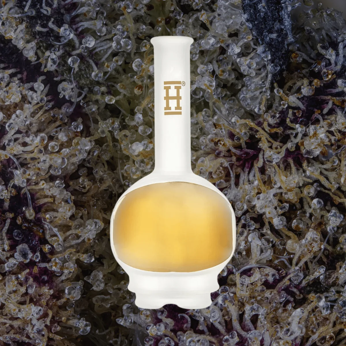 HEMPER Space Fleet Puffco Peak Top — glass from Trichly