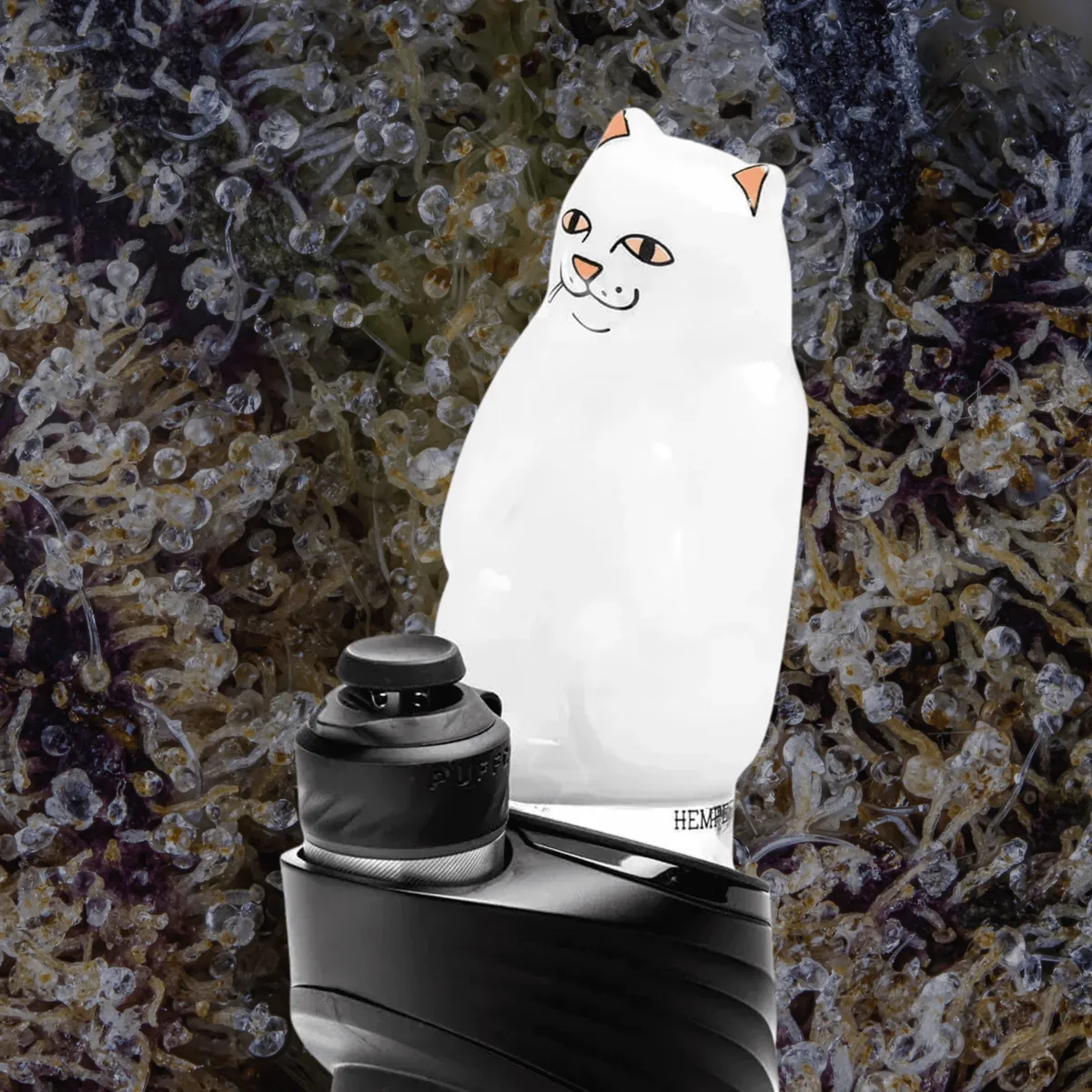 HEMPER x RIPNDIP High Nermal Puffco Peak Top — glass from Trichly