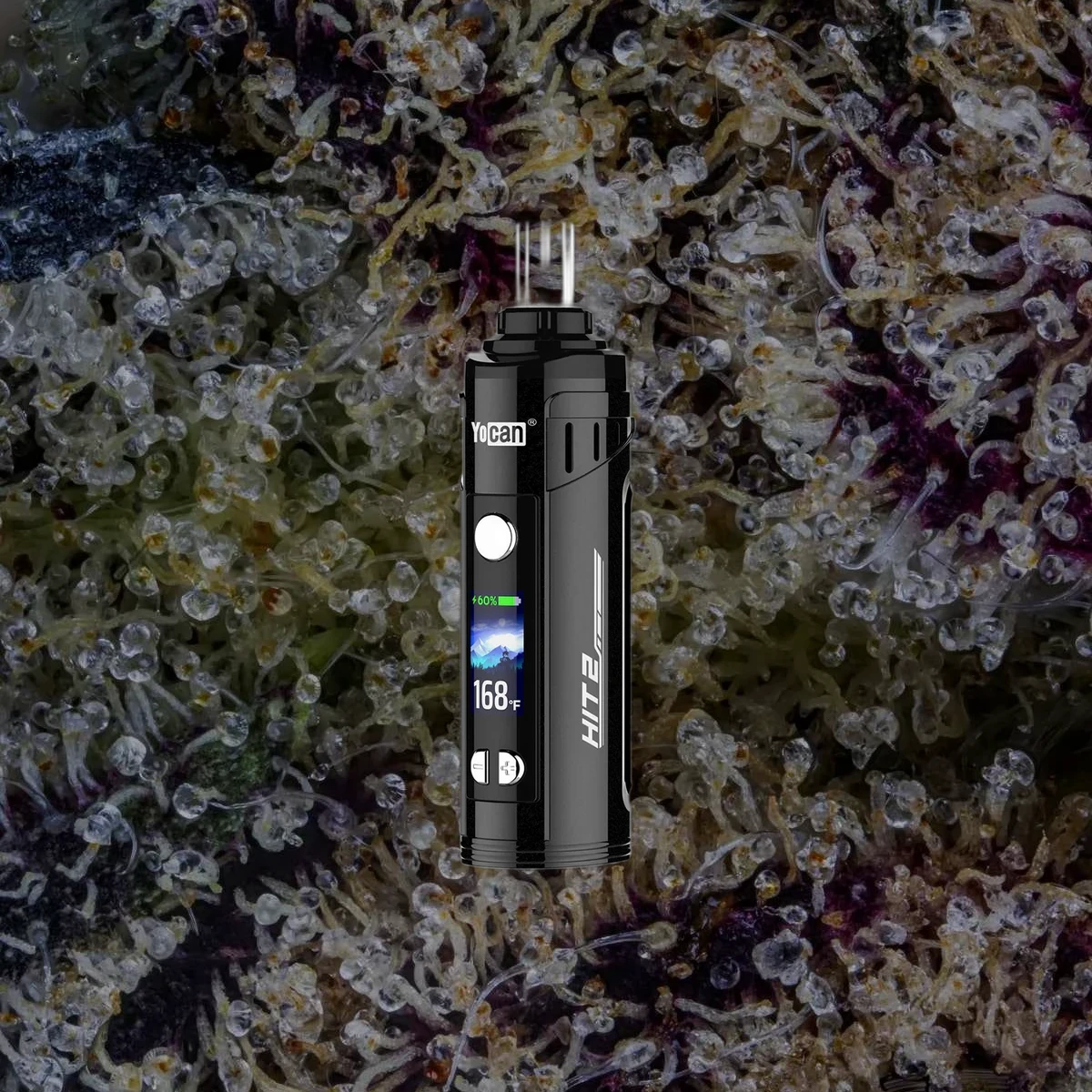 Hit 2 product photo