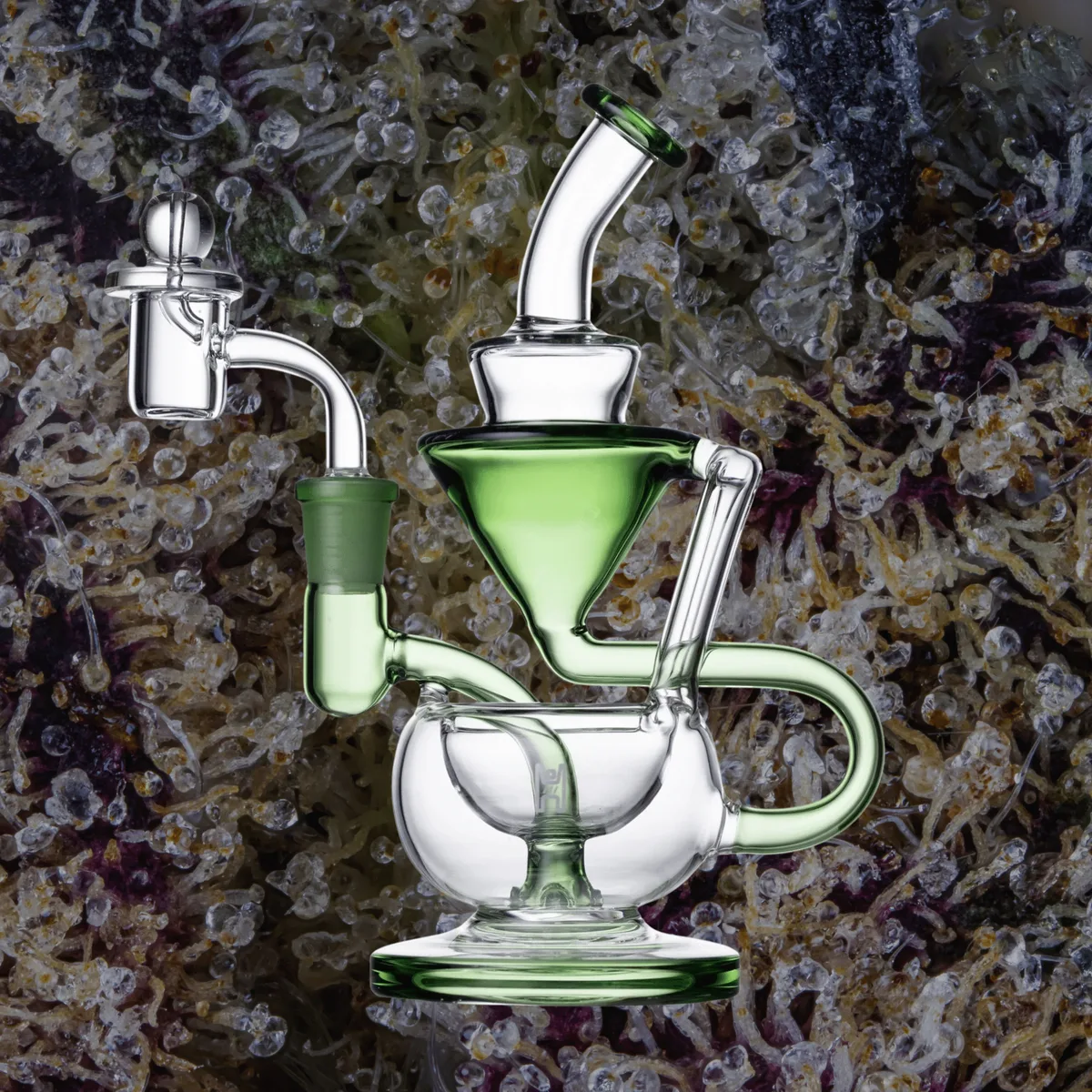 Human Grade 8" Recycler, glass from Trichly