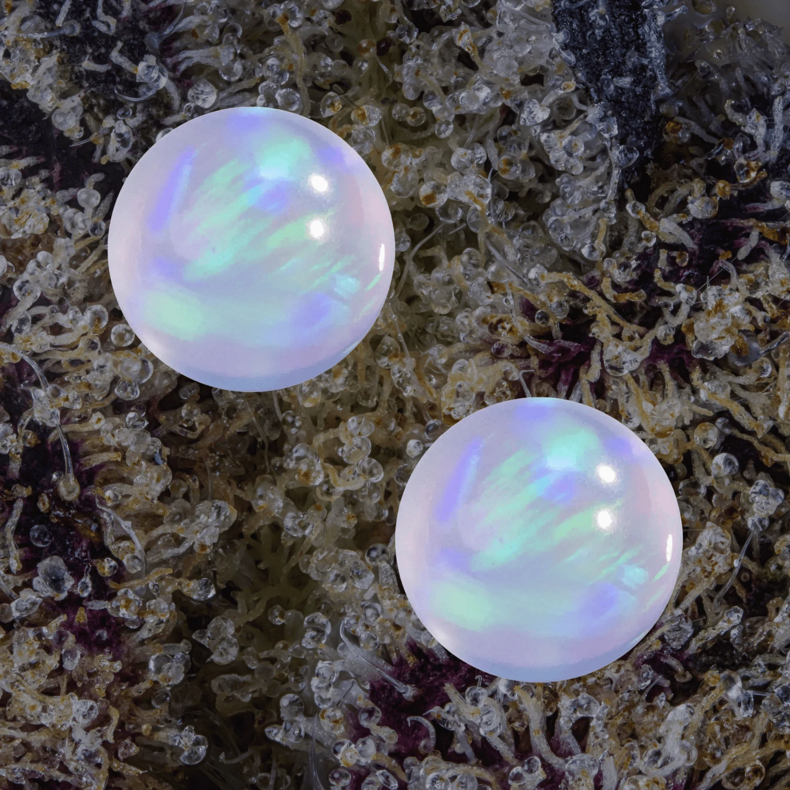MJ Arsenal Opal Terp Pearls — accessories from Trichly