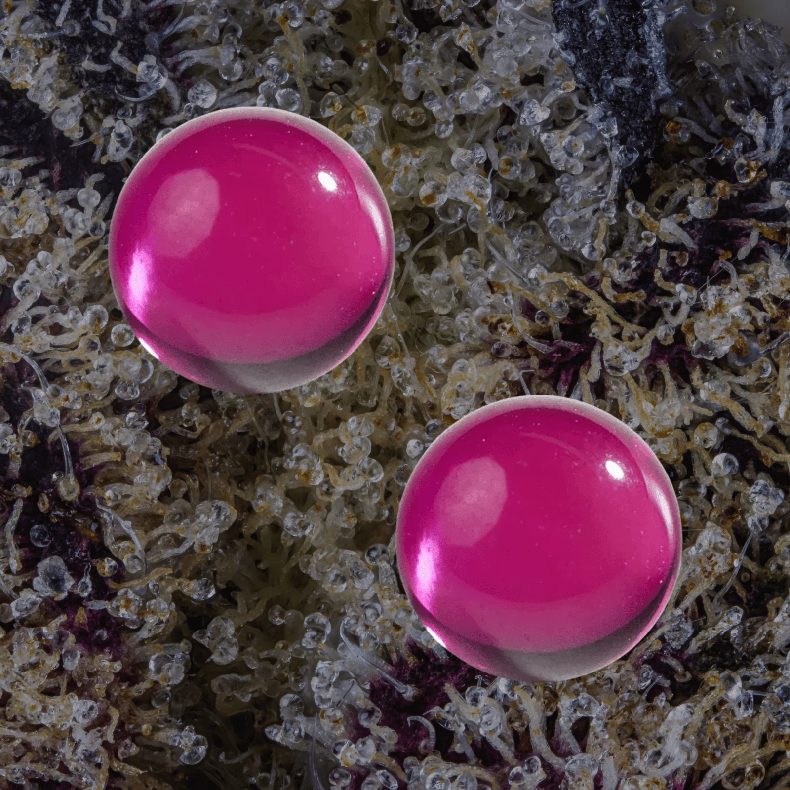 MJ Arsenal Ruby Terp Pearls — accessories from Trichly