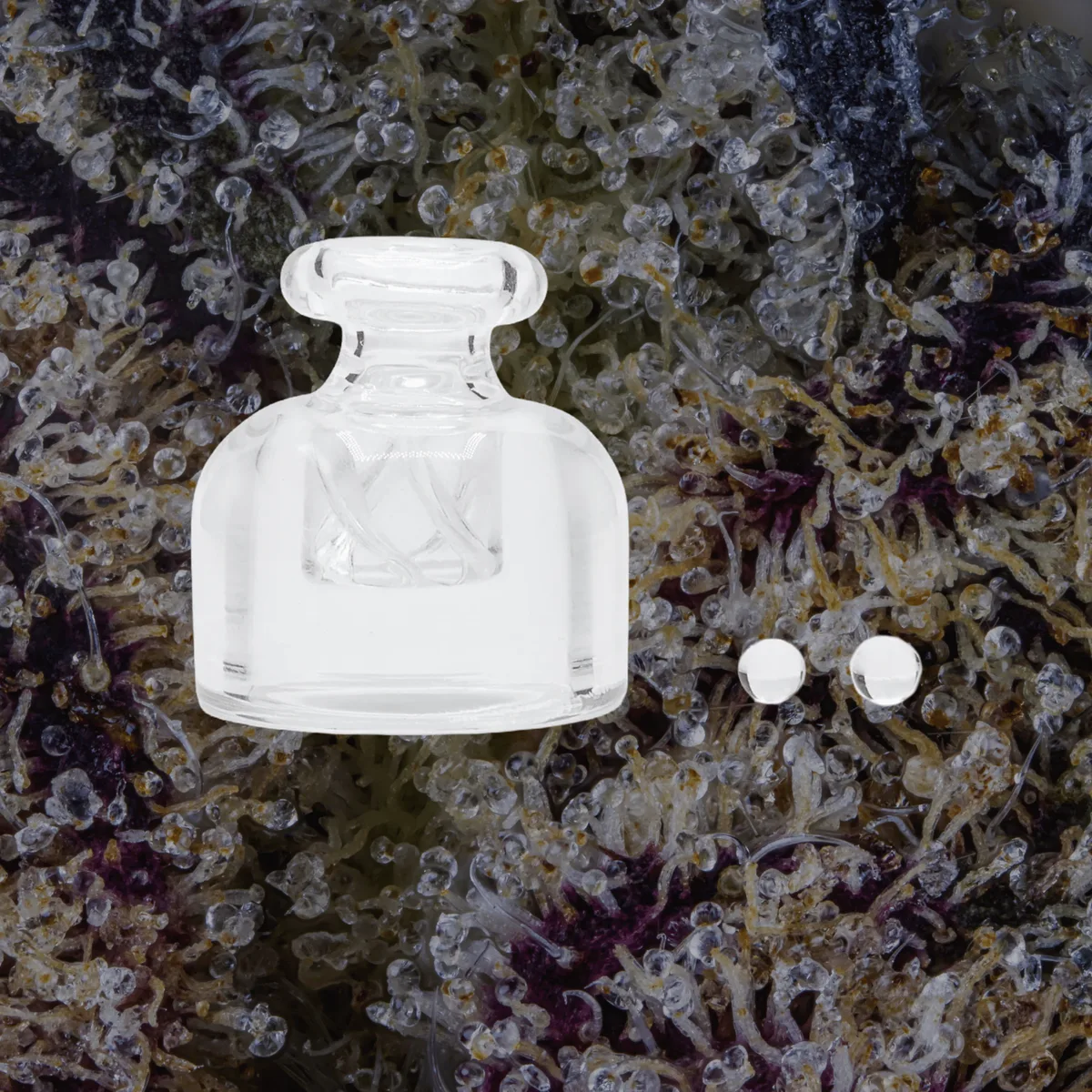 Modül Dok Glass Carb Cap & Terp Pearls, accessories from Trichly
