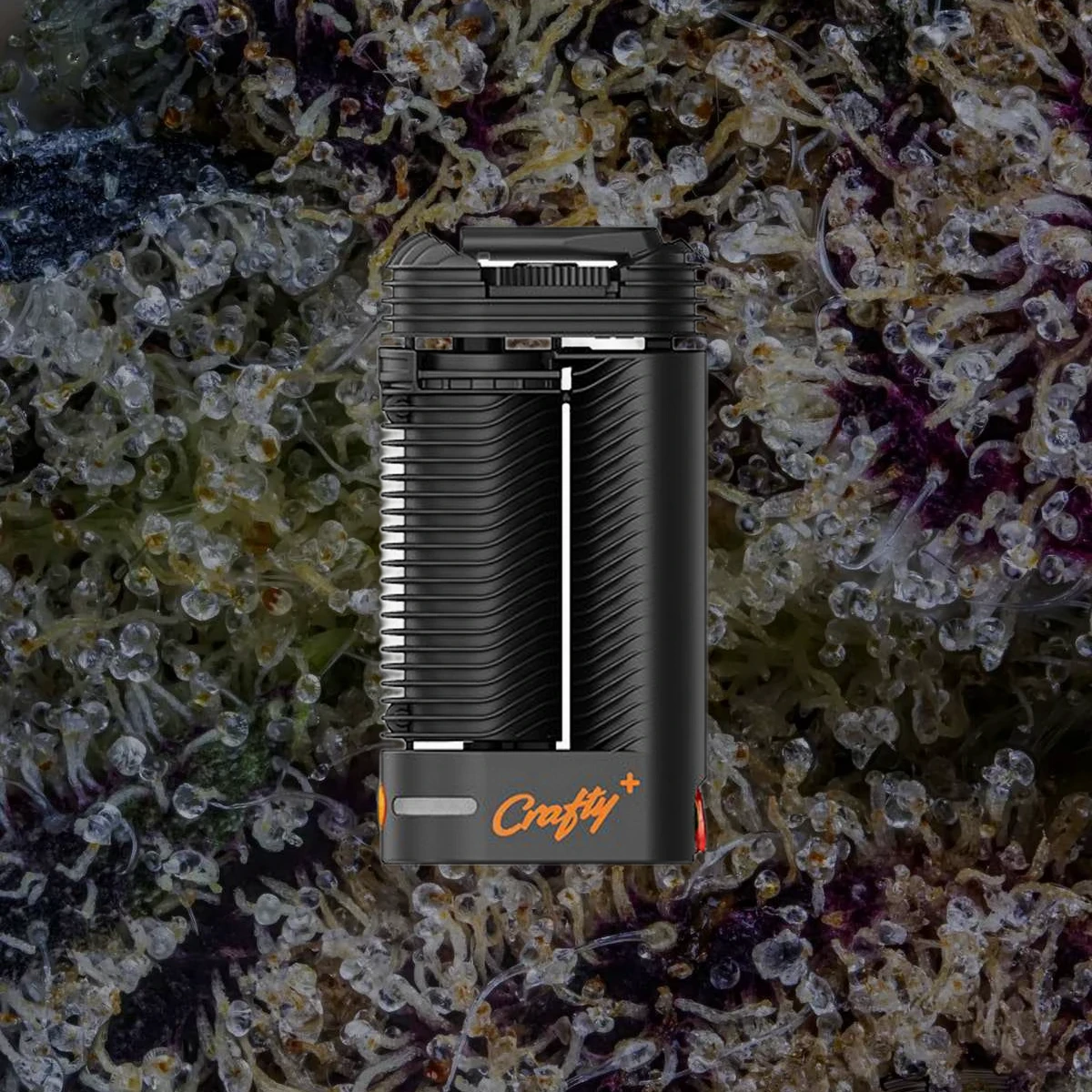 Storz & Bickel Crafty+