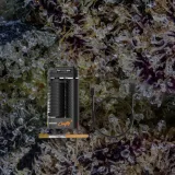 Storz & Bickel Crafty+, for flower from Trichly photo 8