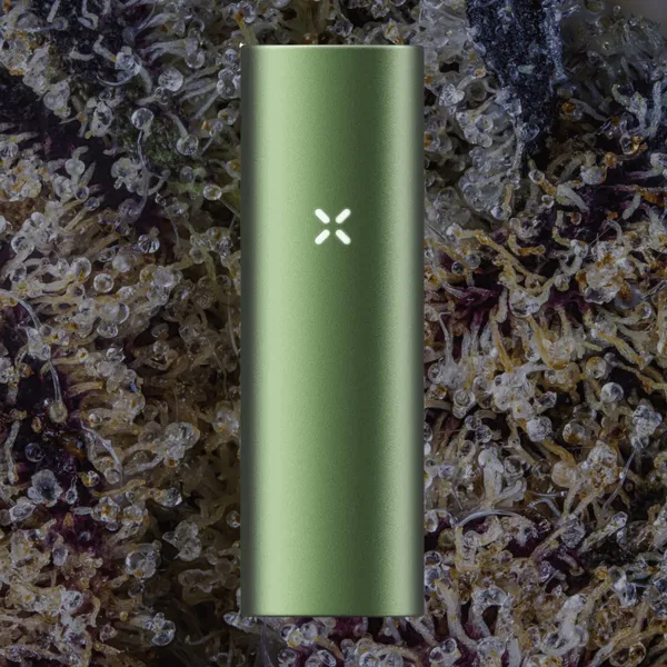 PAX Flow, for flower from Trichly photo 5
