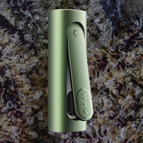 PAX Flow, for flower from Trichly photo 6