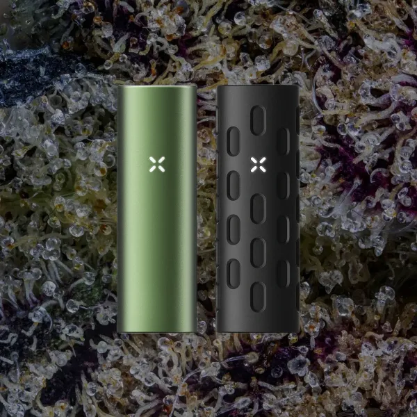 PAX Flow, for flower from Trichly photo 10