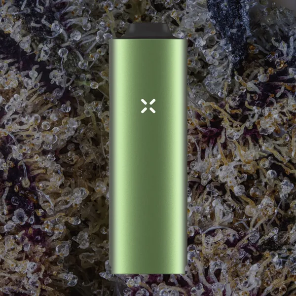 Pax Four Vaporizer, for flower from Trichly photo 1