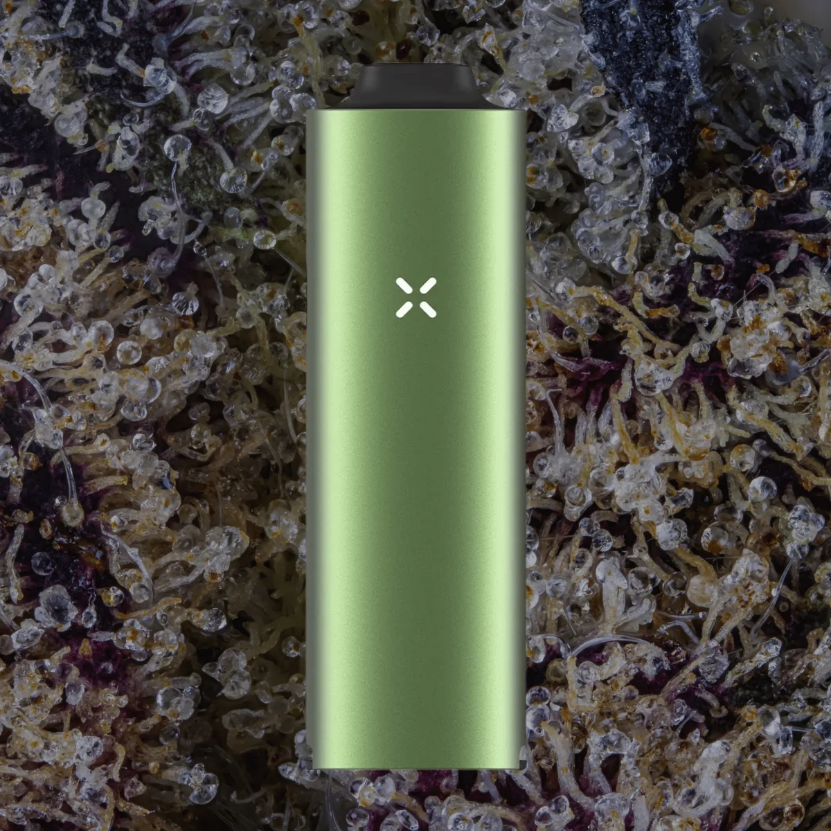 Pax Four Vaporizer — for flower from Trichly