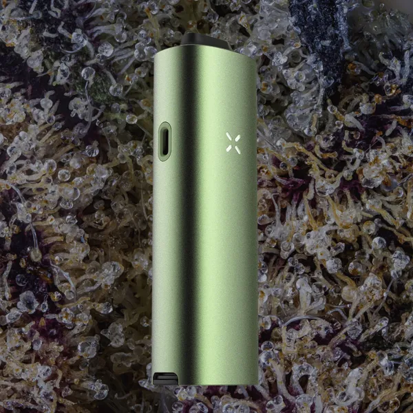Pax Four Vaporizer, for flower from Trichly photo 4