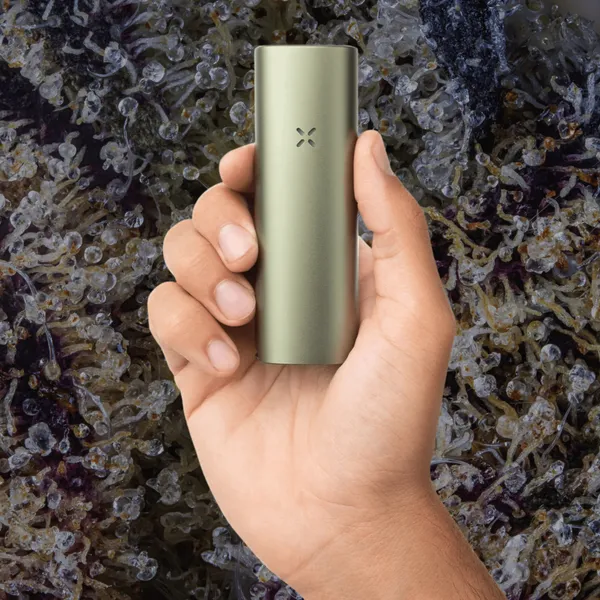 Pax Four Vaporizer, for flower from Trichly photo 7