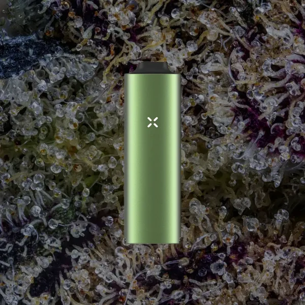 Pax Four Vaporizer, for flower from Trichly photo 11