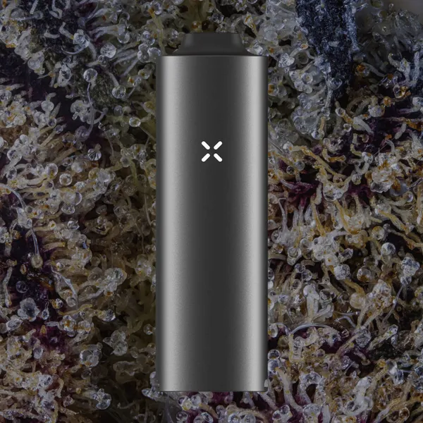 Pax Four Vaporizer, for flower from Trichly photo 8