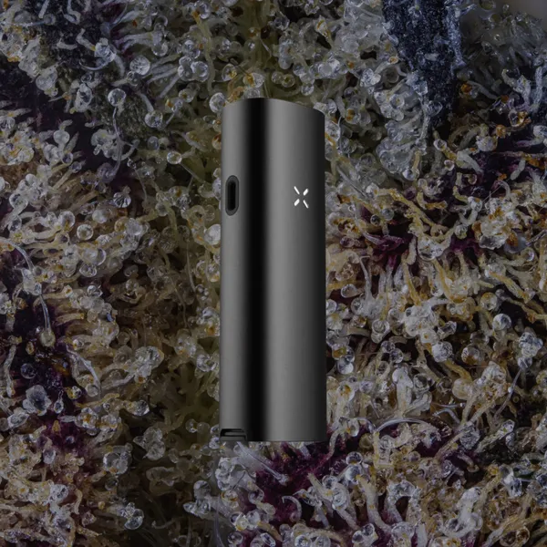 Pax Four Vaporizer, for flower from Trichly photo 9