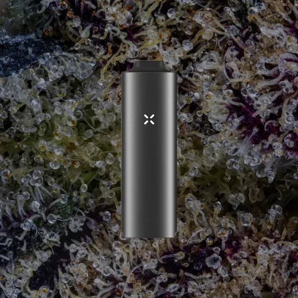 Pax Four Vaporizer, for flower from Trichly photo 12