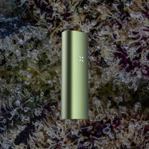 PAX Mini 2 Vaporizer, for flower from Trichly photo 5