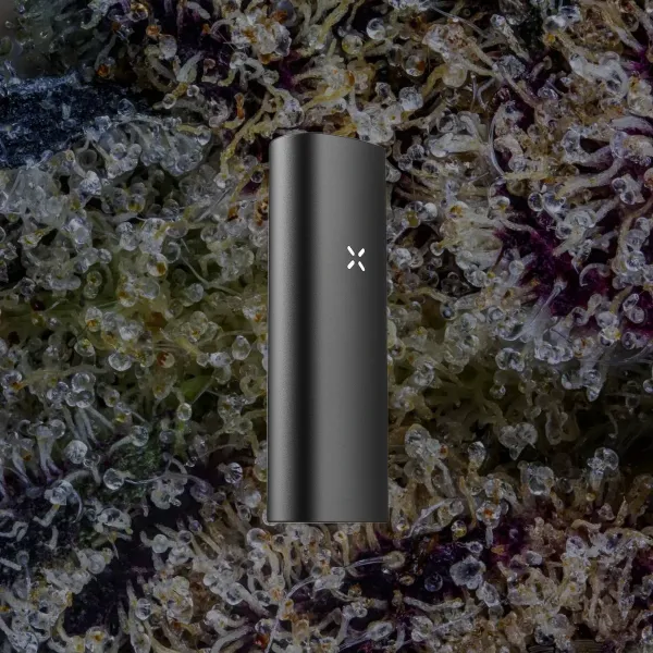 PAX Mini 2 Vaporizer, for flower from Trichly photo 6