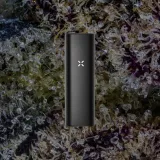 PAX Mini, for flower from Trichly photo 2