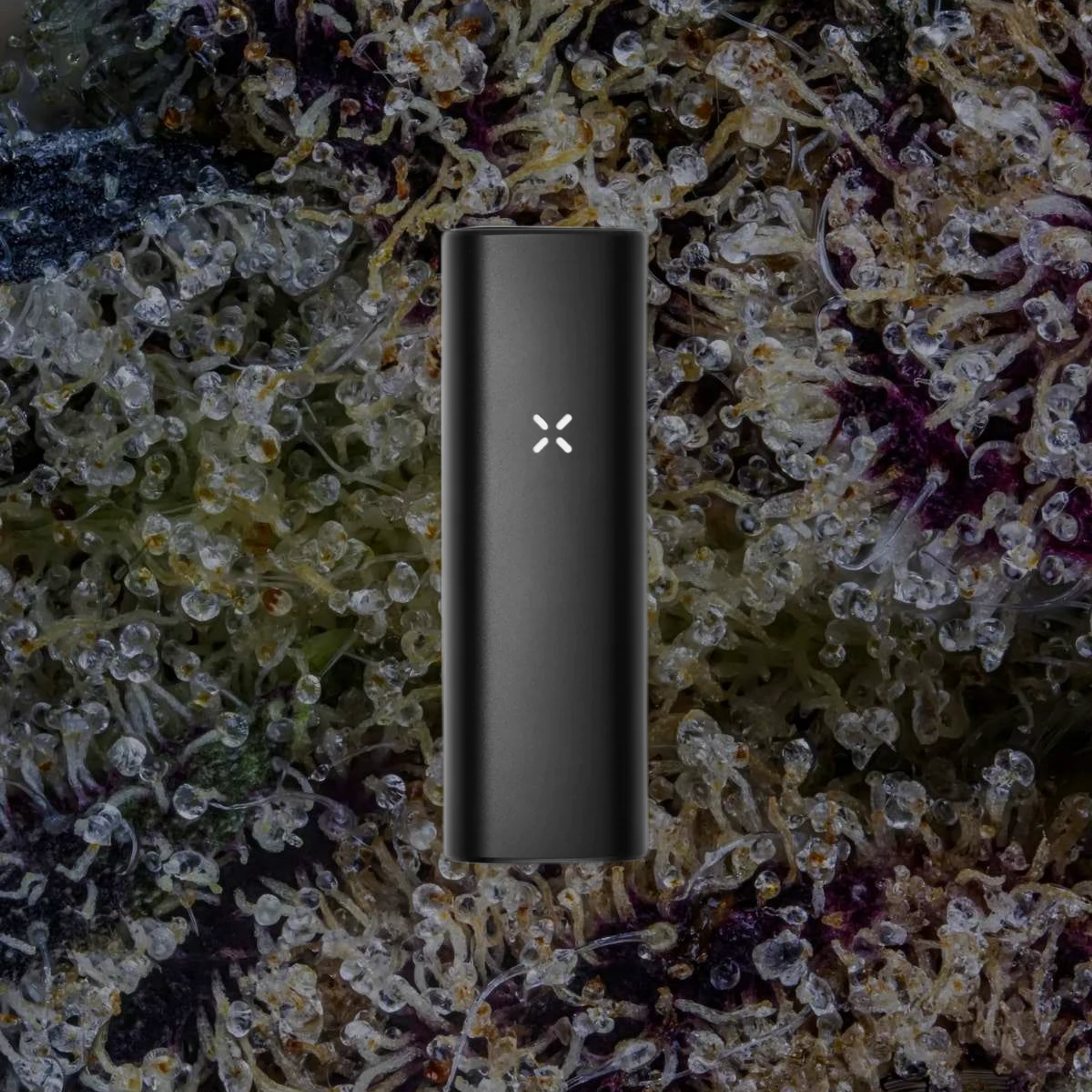 PAX Mini