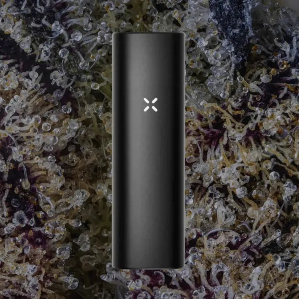 PAX Plus, for flower from Trichly photo 5