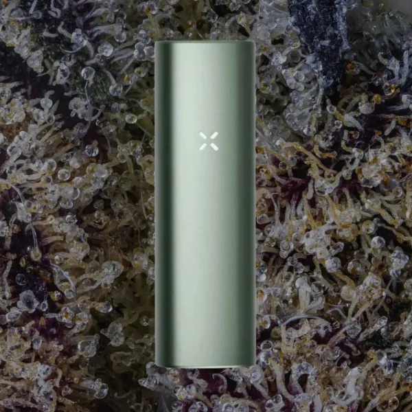 PAX Plus, for flower from Trichly photo 1