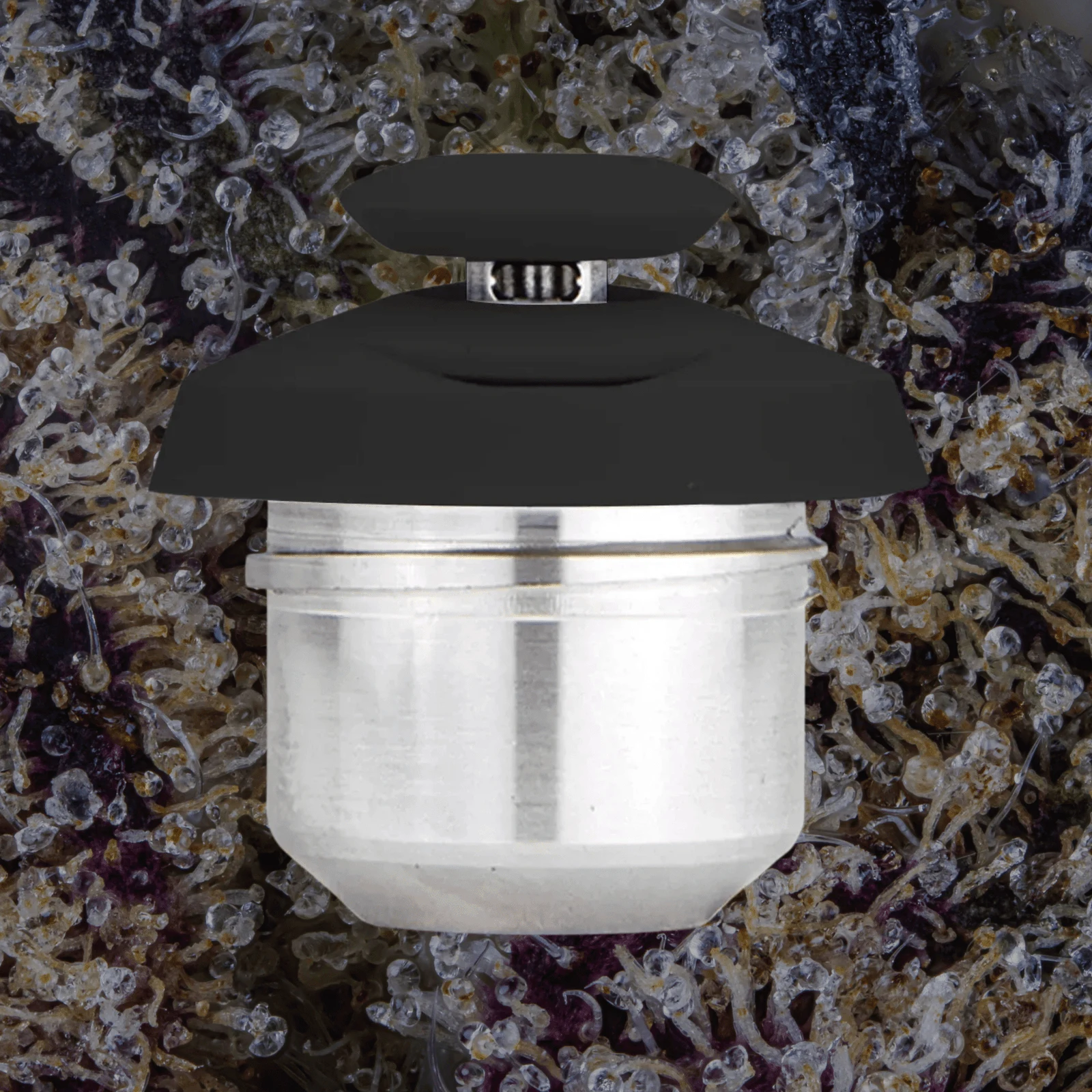 Puffco New Proxy 3D Chamber — replacement chambers from Trichly