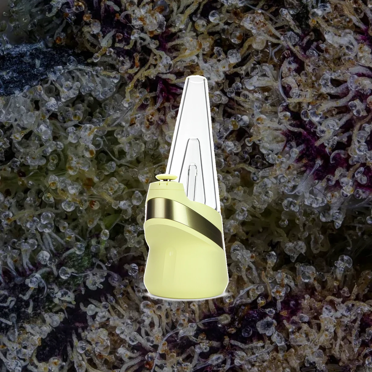 Puffco Peak — for extracts from Trichly